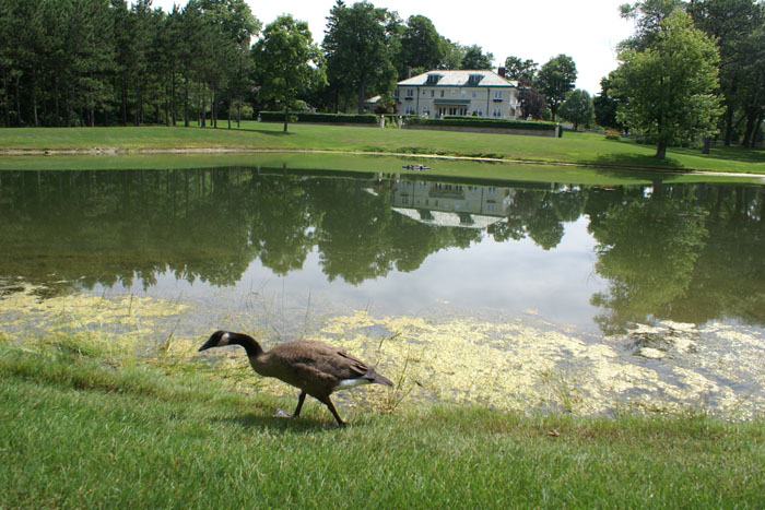 The Belvedere Inn, Saugatuck MI